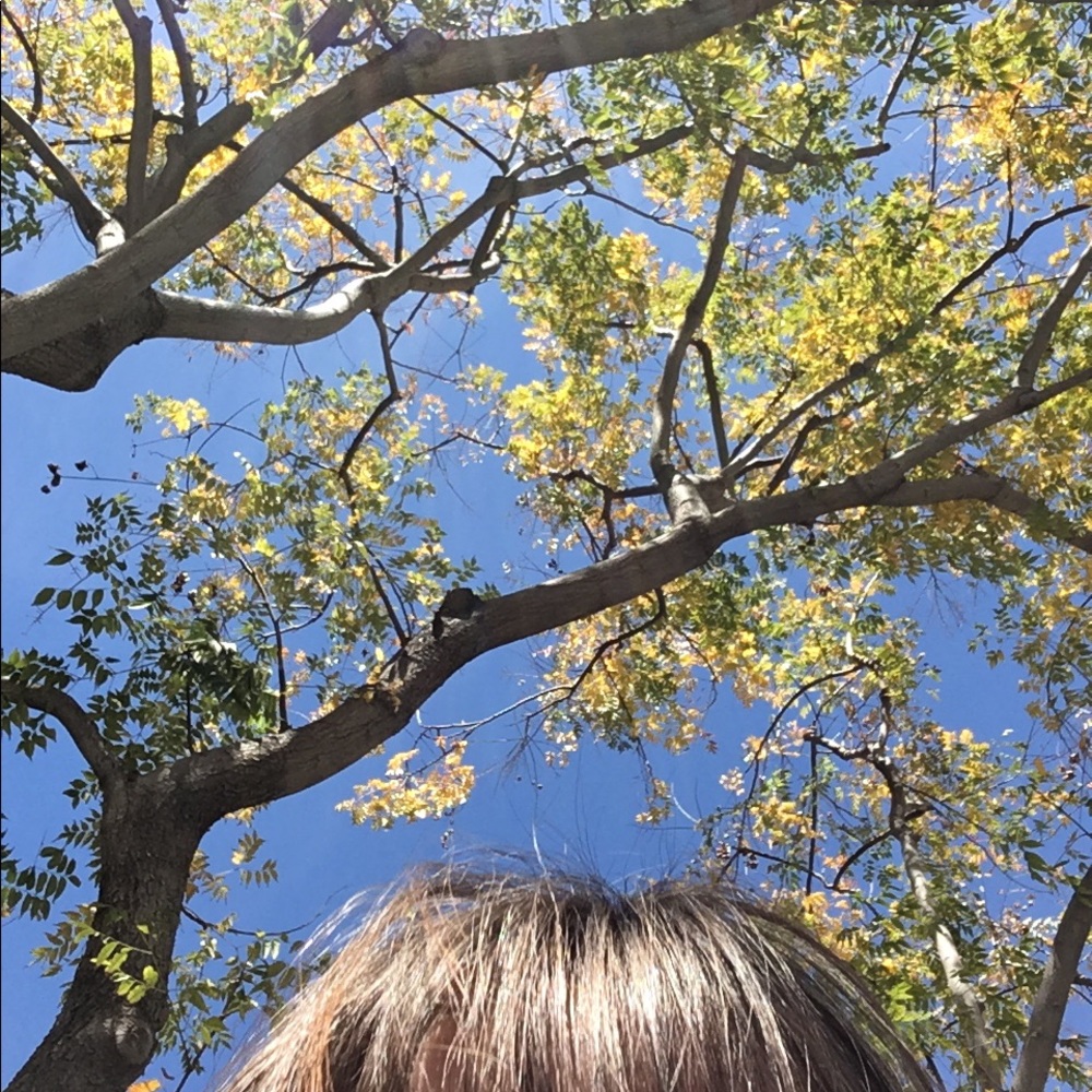 Meet your Posher, Shan